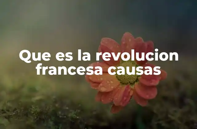 Que es la Revolucion Francesa Causas