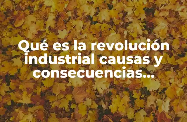 Qué es la Revolución Industrial Causas y Consecuencias Resumen