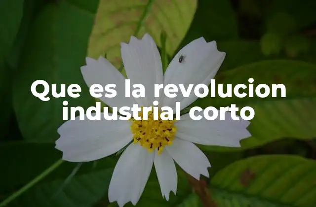 Que es la Revolucion Industrial Corto
