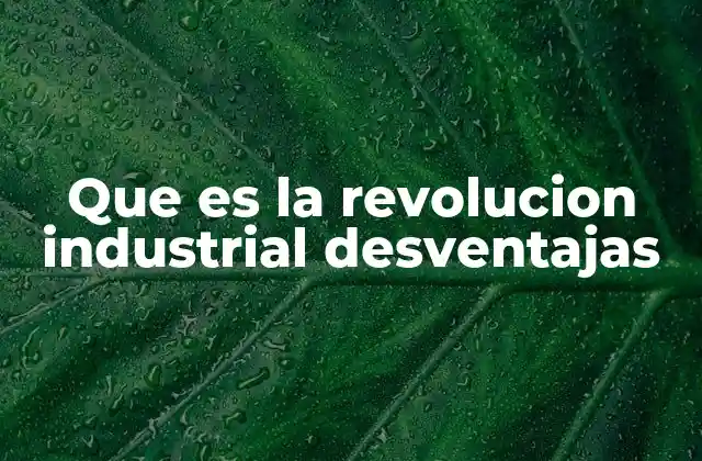 Que es la Revolucion Industrial Desventajas