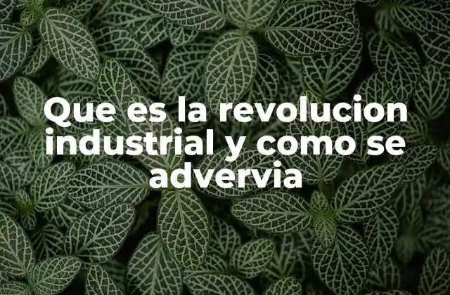 Que es la Revolucion Industrial y como Se Advervia