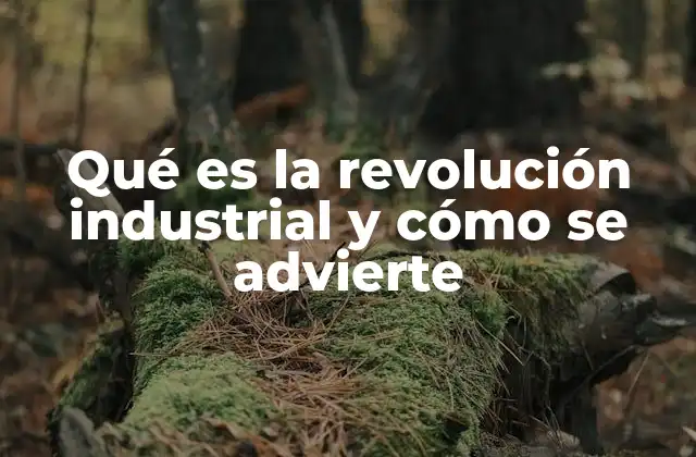 Qué es la Revolución Industrial y Cómo Se Advierte
