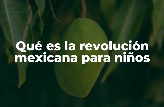 Qué es la Revolución Mexicana para Niños