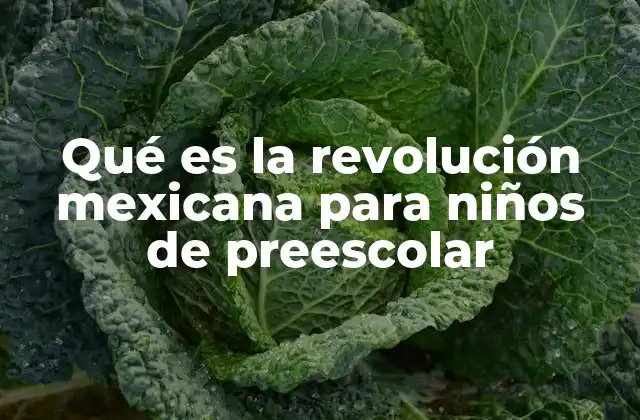 Cómo entender la Revolución Mexicana de manera sencilla