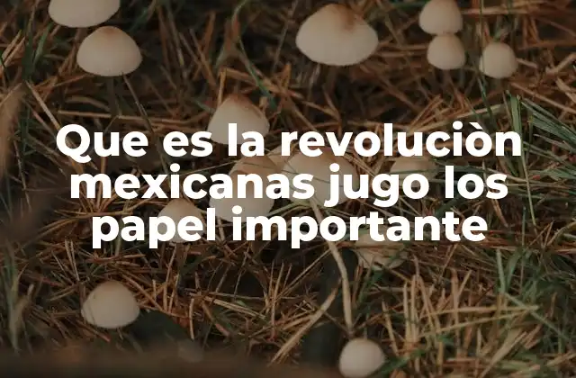 Que es la Revoluciòn Mexicanas Jugo los Papel Importante
