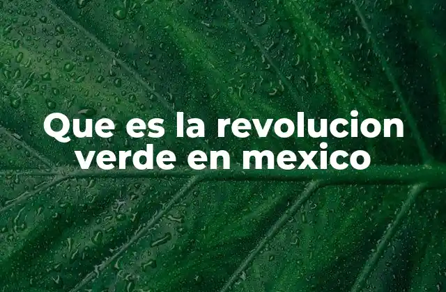 Que es la Revolucion Verde en Mexico 2 El auge de la agricultura moderna en México