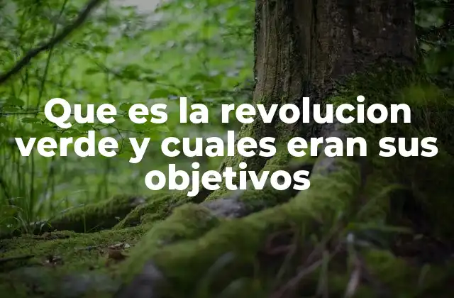 Que es la Revolucion Verde y Cuales Eran Sus Objetivos