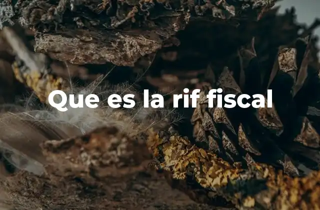 Que es la Rif Fiscal