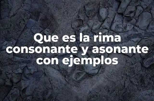 Que es la Rima Consonante y Asonante con Ejemplos