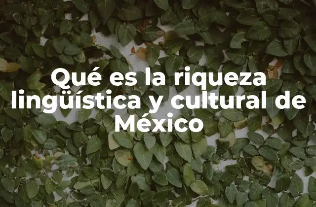 Qué es la Riqueza Lingüística y Cultural de México