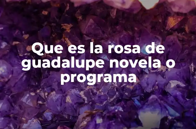 Que es la Rosa de Guadalupe Novela o Programa 2 El impacto cultural de esta producción en la televisión