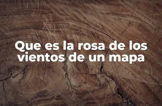 Que es la Rosa de los Vientos de un Mapa