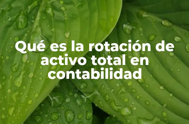 Qué es la Rotación de Activo Total en Contabilidad