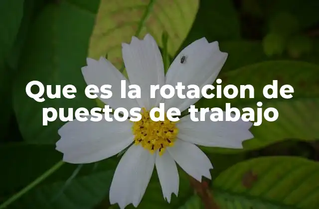 Que es la Rotacion de Puestos de Trabajo
