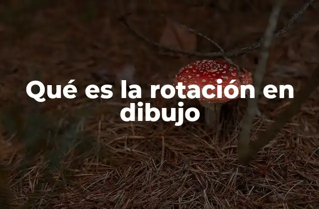 Qué es la Rotación en Dibujo