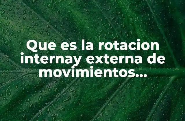 Que es la Rotacion Internay Externa de Movimientos Funcionales 13 Importancia de la movilidad rotacional en el rendimiento funcional