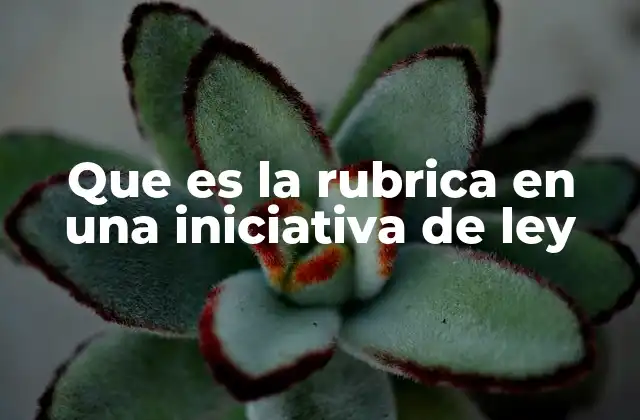 Que es la Rubrica en una Iniciativa de Ley