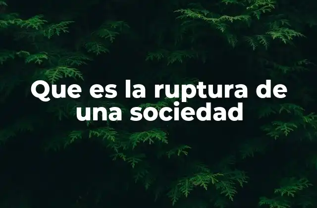 Que es la Ruptura de una Sociedad