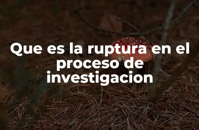 Que es la Ruptura en el Proceso de Investigacion