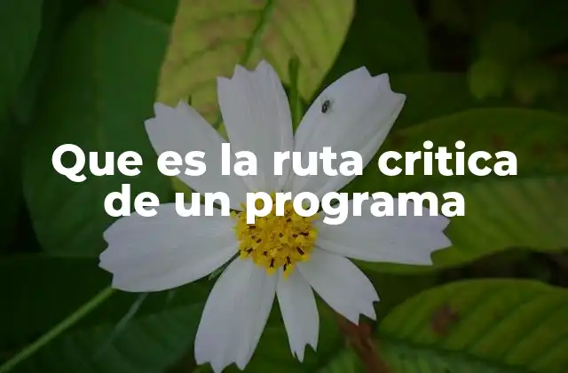 Que es la Ruta Critica de un Programa
