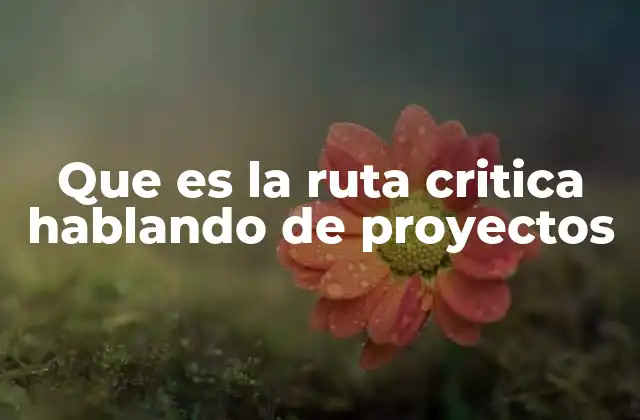 La importancia de la ruta crítica en la planificación de proyectos
