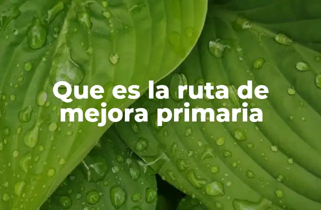 Que es la Ruta de Mejora Primaria