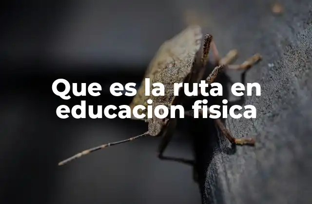 Que es la Ruta en Educacion Fisica