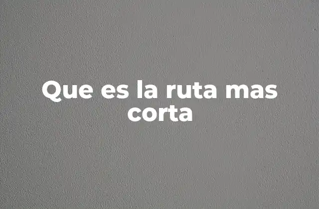 Cómo se aplica la búsqueda de caminos óptimos en diferentes contextos