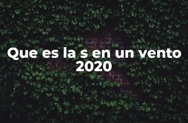Características del Vento 2020 sin mencionar la palabra clave