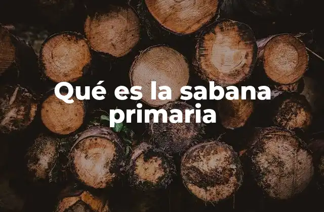 Qué es la Sabana Primaria