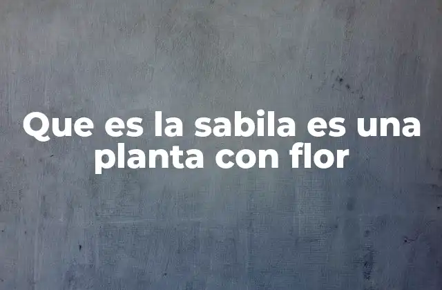 Que es la Sabila es una Planta con Flor