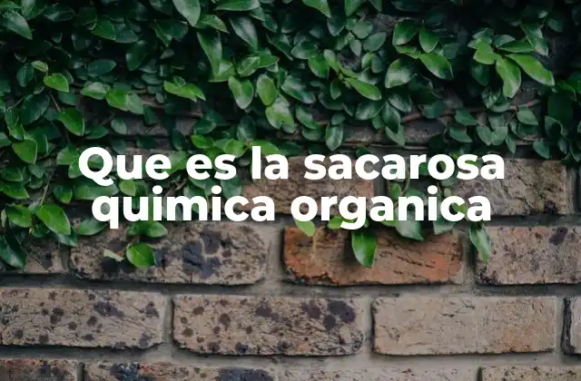 Que es la Sacarosa Quimica Organica