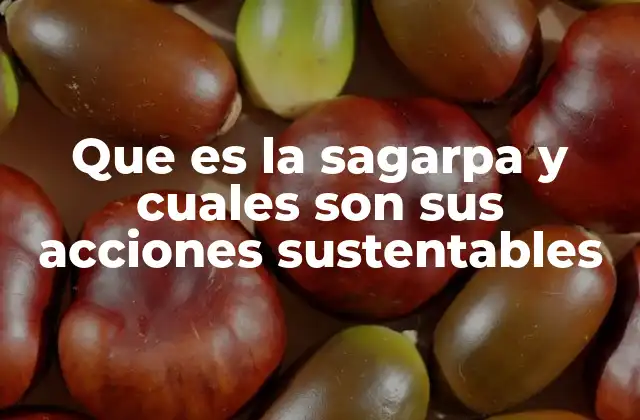 Que es la Sagarpa y Cuales Son Sus Acciones Sustentables