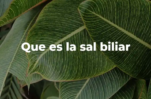 Que es la Sal Biliar