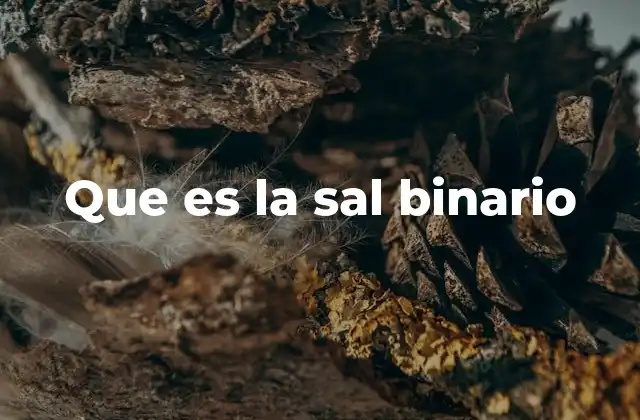 Que es la Sal Binario