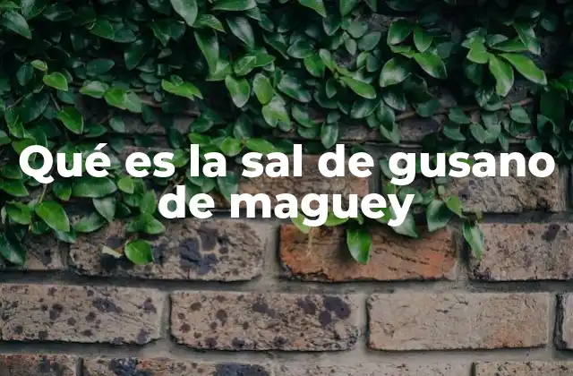 Qué es la Sal de Gusano de Maguey 2 El origen y evolución de un condimento único