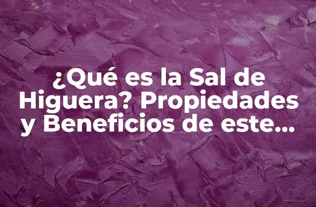 ¿qué es la Sal de Higuera? Propiedades y Beneficios de Este Alimento