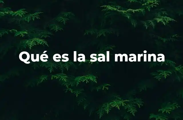 Qué es la Sal Marina
