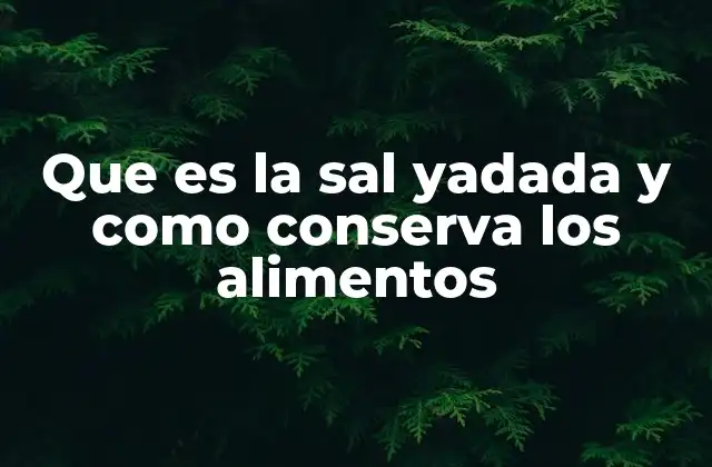 Que es la Sal Yadada y como Conserva los Alimentos