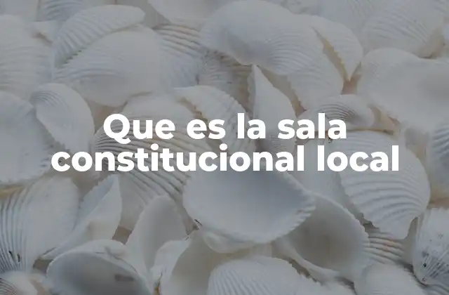 Que es la Sala Constitucional Local 2 La importancia de la sala constitucional en el sistema judicial regional