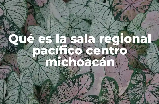 Qué es la Sala Regional Pacífico Centro Michoacán 2 La importancia de las salas regionales en el sistema judicial federal