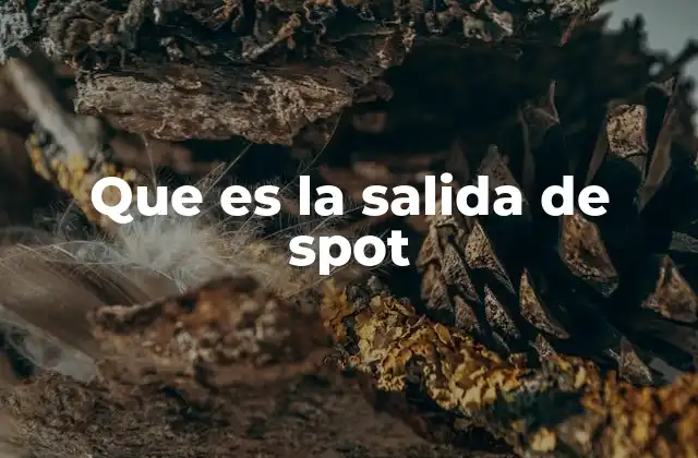Que es la Salida de Spot
