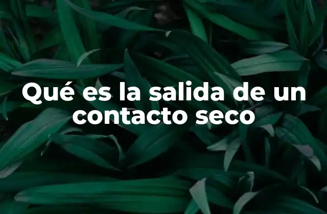 Qué es la Salida de un Contacto Seco