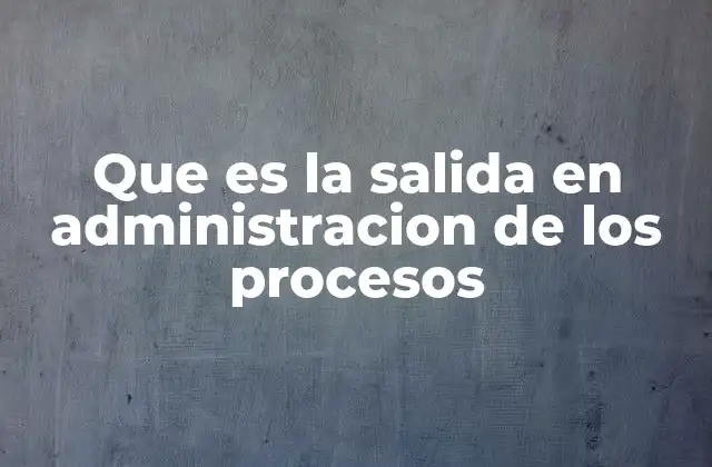 Que es la Salida en Administracion de los Procesos
