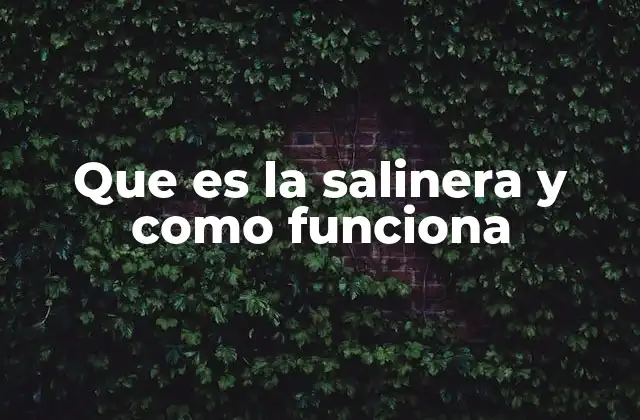 Que es la Salinera y como Funciona