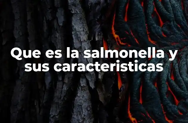 Que es la Salmonella y Sus Caracteristicas 2 Cómo se transmite y cuáles son sus efectos en la salud