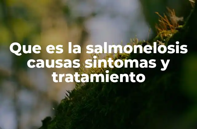 Que es la Salmonelosis Causas Sintomas y Tratamiento