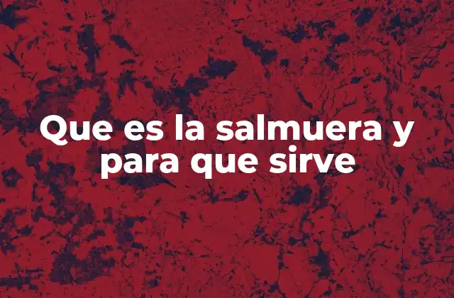 Que es la Salmuera y para que Sirve 2 La importancia de la salmuera en la cocina casera