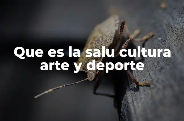 Que es la Salu Cultura Arte y Deporte