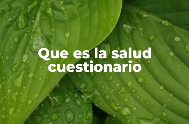 Que es la Salud Cuestionario